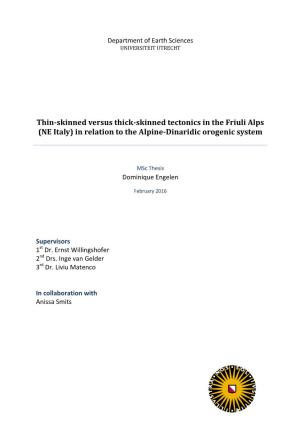Thin-Skinned Versus Thick-Skinned Tectonics in the Friuli Alps (NE Italy) in Relation to the Alpine-Dinaridic Orogenic System