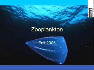 Introduction to Zooplankton Ecology
