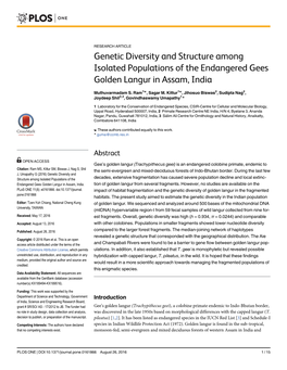 Genetic Diversity and Structure Among Isolated Populations of the Endangered Gees Golden Langur in Assam, India