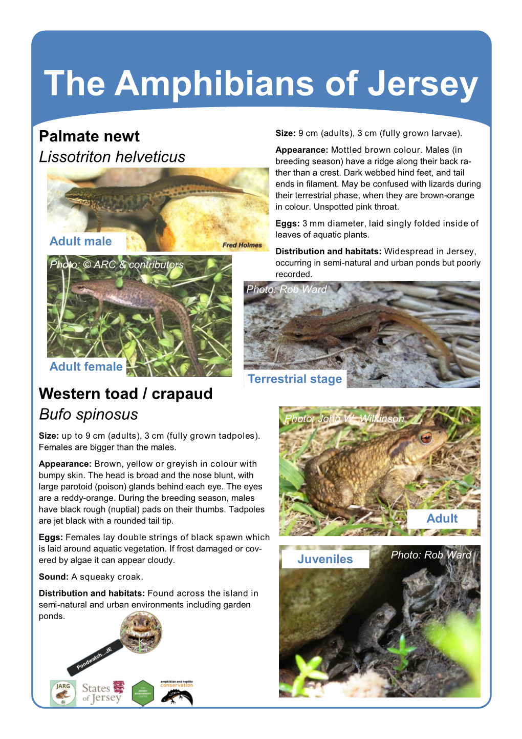 Amphibians of Jersey ID Guide