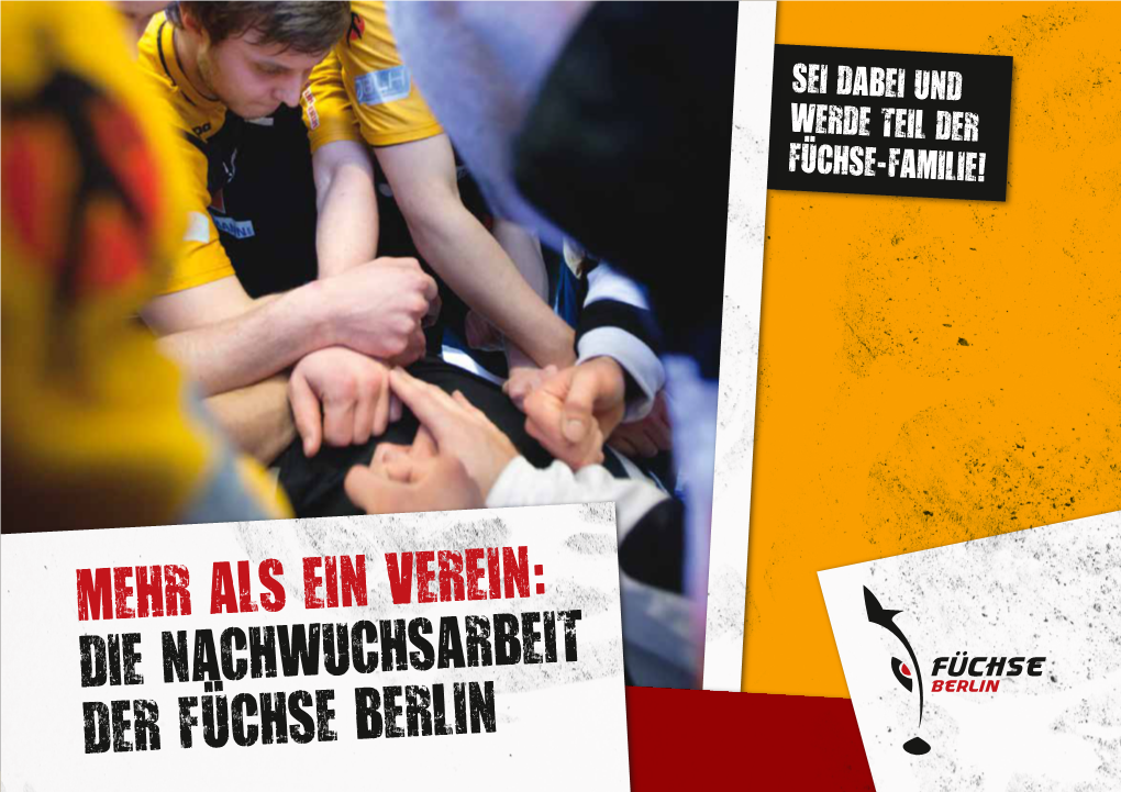 Die Nachwuchsarbeit Der Füchse Berlin Der Traum Vom Profihandball