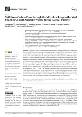 Shift from Carbon Flow Through the Microbial Loop to the Viral Shunt in Coastal Antarctic Waters During Austral Summer