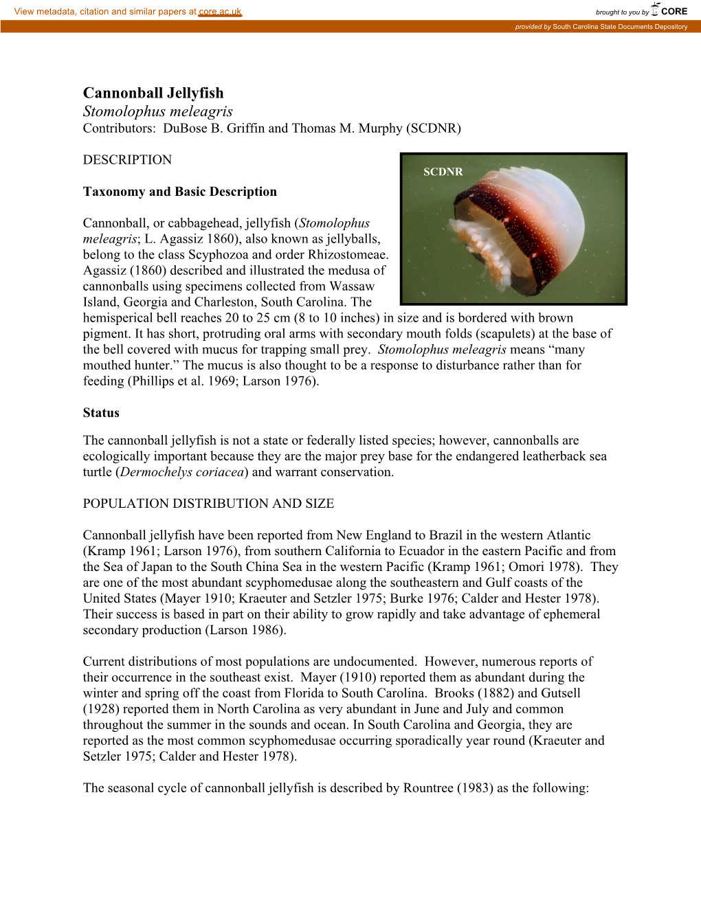 Cannonball Jellyfish Stomolophus Meleagris Contributors: Dubose B