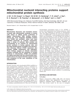 Mitochondrial Nucleoid Interacting Proteins Support Mitochondrial Protein Synthesis J