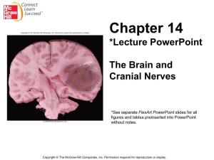 Chapter 14 *Lecture Powerpoint