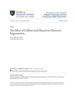 The Effect of Caffeine and Ethanol on Flatworm Regeneration