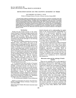 BIFURCATION RATIOS and the ADAPTIVE GEOMETRY of TREES Introduction During the Past Decade Interest in the Mathe