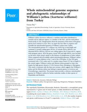 Whole Mitochondrial Genome Sequence and Phylogenetic Relationships of Williams’S Jerboa (Scarturus Williamsi) from Turkey