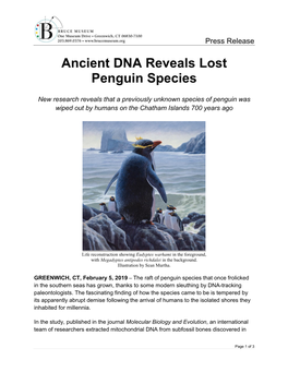 Ancient DNA Reveals Lost Penguin Species