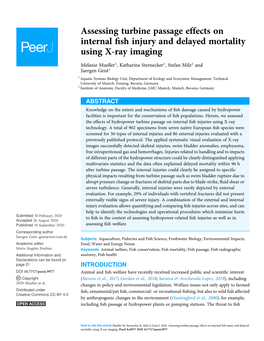 Assessing Turbine Passage Effects on Internal Fish Injury and Delayed