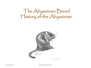 The Abyssinian Breed Group