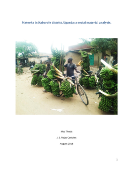 Matooke in Kabarole District, Uganda: a Social Material Analysis