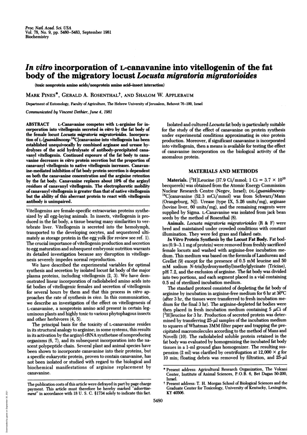 In Vitro Incorporation of L-Canavamne Into Vitellogenin of The