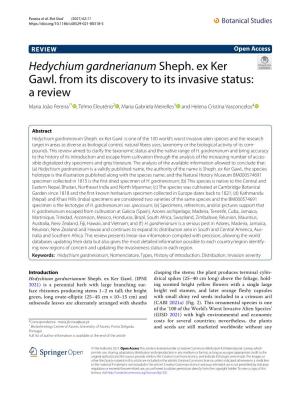 Hedychium Gardnerianum Sheph