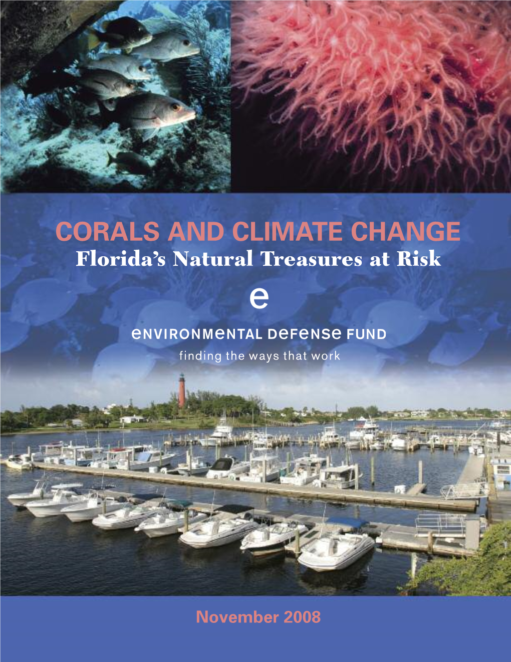 CORALS and CLIMATE CHANGE Florida’S Natural Treasures at Risk