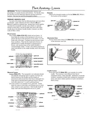 Plant Anatomy - Leaves METHODS: the Key to Understanding Plant Anatomy and Physiology Is to Equate Structure with Function