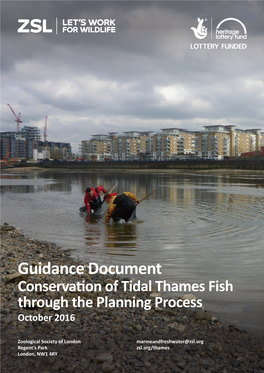 Guidance Document Conservation of Tidal Thames Fish Through the Planning Process October 2016