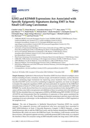 EZH2 and KDM6B Expressions Are Associated with Specific Epigenetic