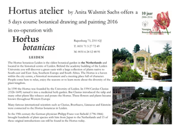 Hortus Atelier by Anita Walsmit Sachs Offers a 5 Days Course Botanical Drawing and Painting 2016 in Co-Operation With