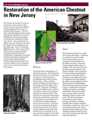 Restoration of the American Chestnut in New Jersey