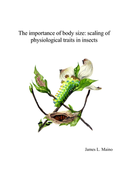 Scaling of Physiological Traits in Insects