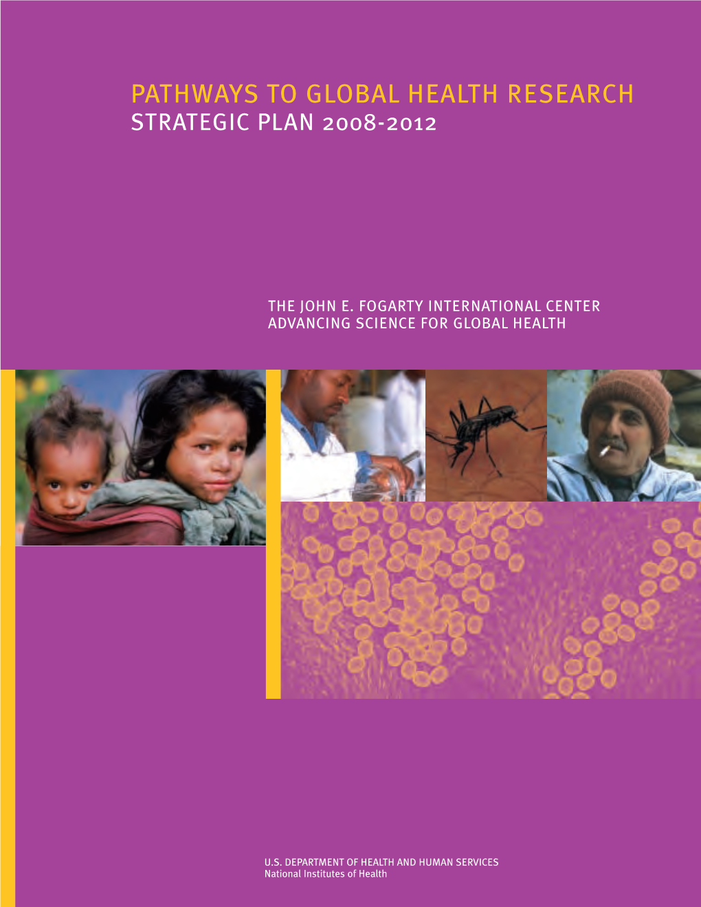 Fogarty Strategic Plan 2008-2012: Pathways to Global Health Research