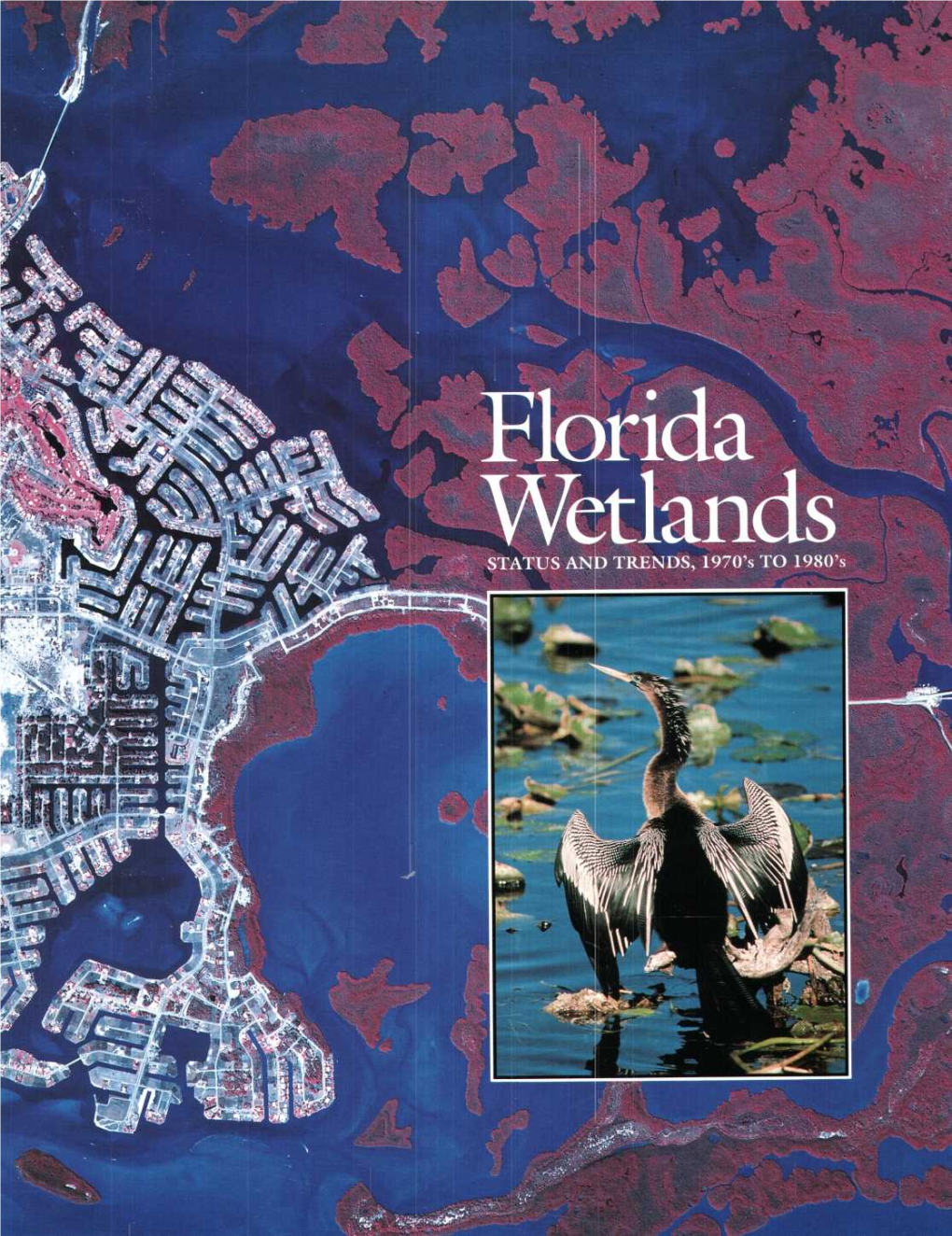 Florida Wetlands: Status and Trends, 1970'S to 1980'S