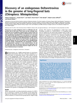 Discovery of an Endogenous Deltaretrovirus in the Genome of Long-Fingered Bats (Chiroptera: Miniopteridae)