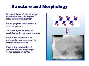 Structure and Morphology