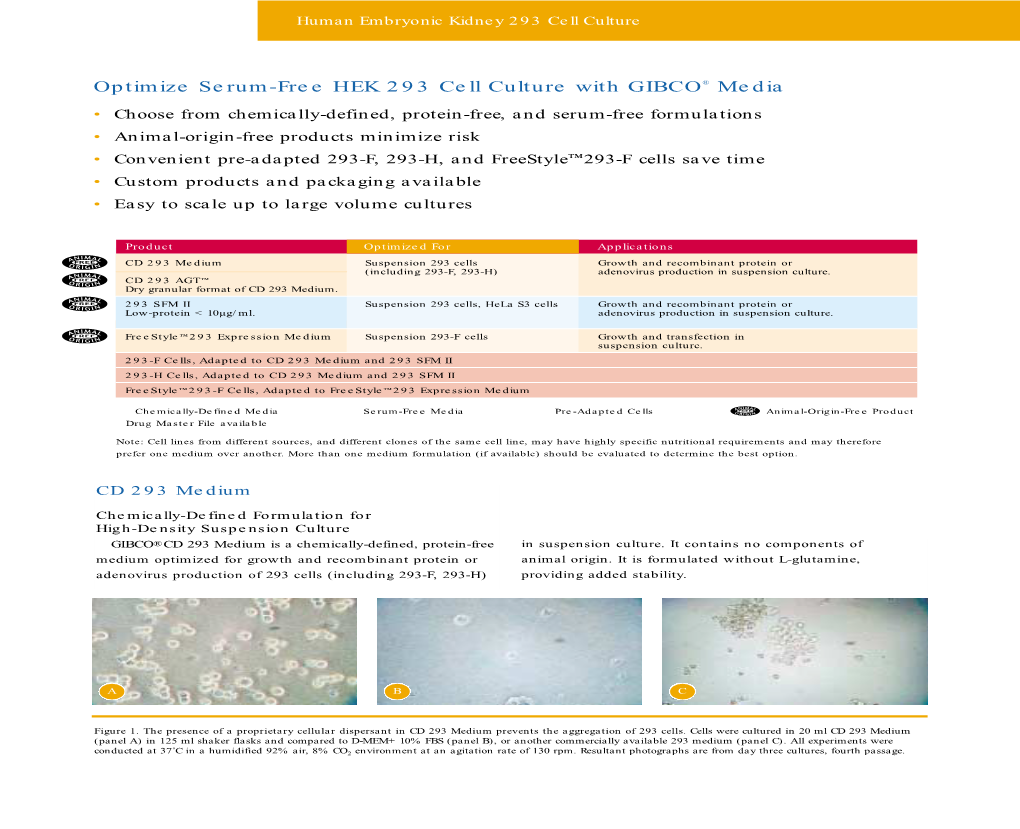 Optimize Serum-Free HEK 293 Cell Culture with GIBCO® Media to >30,000 Liters, Or >100,000 Liters in Dry Format