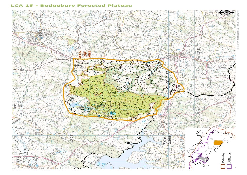 Character Area 15 Bedgebury