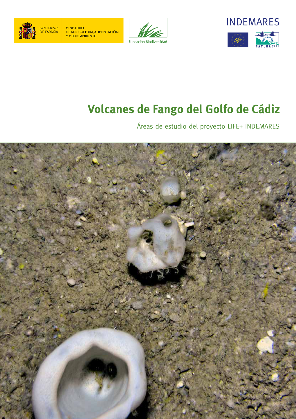 Volcanes De Fango Del Golfo De Cádiz