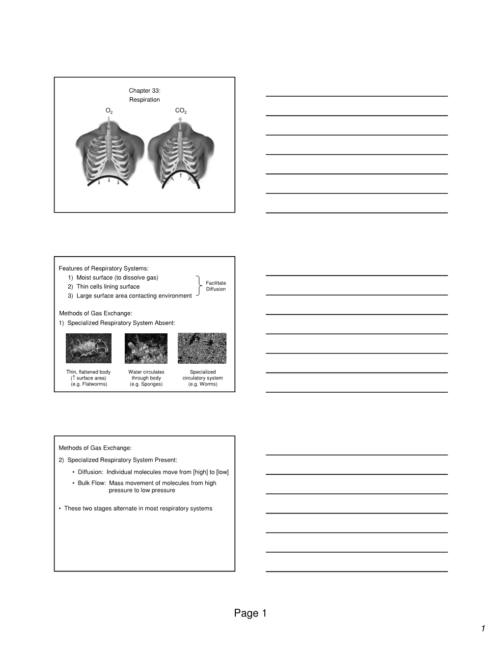 Page 1 1 Gas Exchange in Respiratory Systems