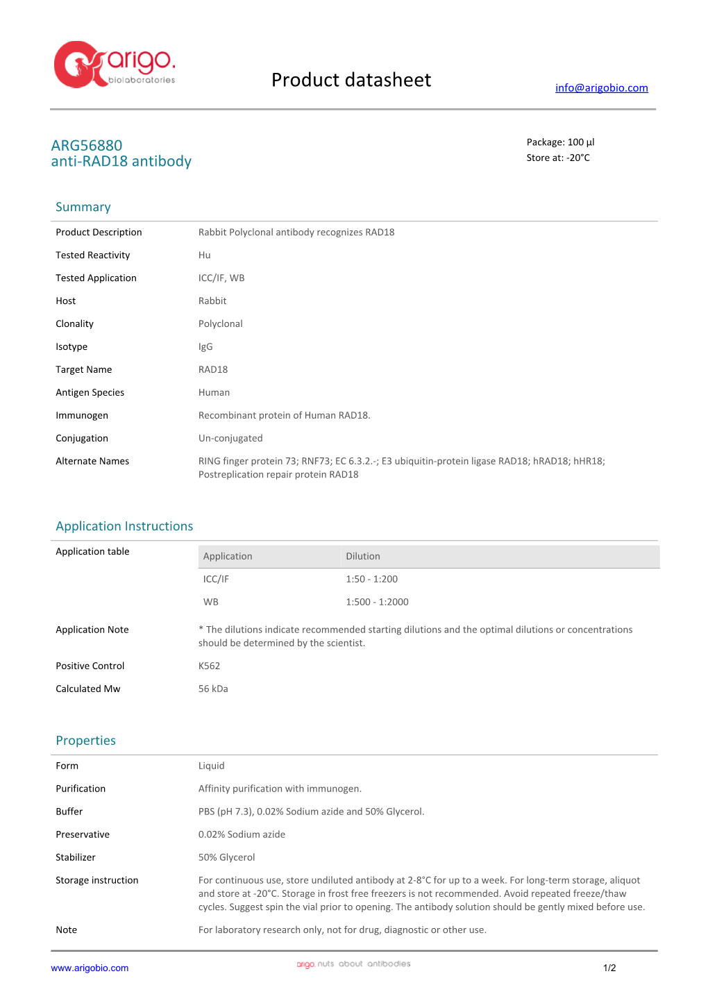 Anti-RAD18 Antibody (ARG56880)