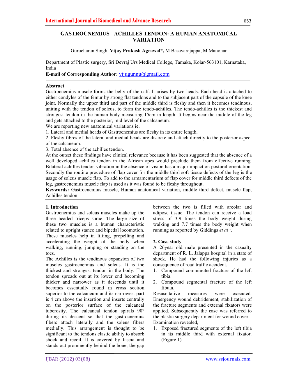 Gastrocnemius - Achilles Tendon: a Human Anatomical Variation