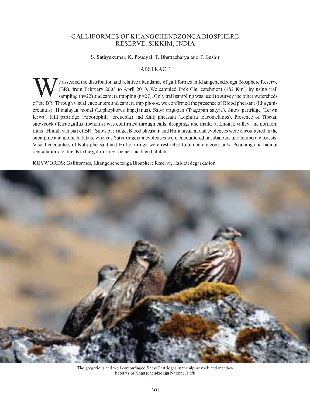 Galliformes of Khangchendzonga Biosphere Reserve, Sikkim, India