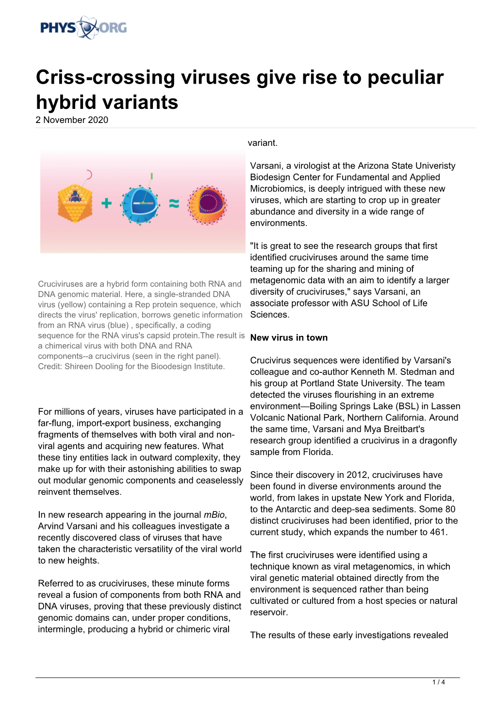 Criss-Crossing Viruses Give Rise to Peculiar Hybrid Variants 2 November 2020