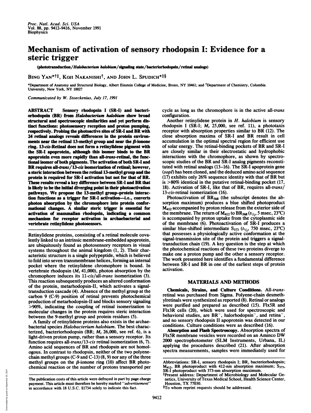 Steric Trigger (Phototansdoucton/Halobacterium Halobium/L Ng State/Bacteriorhodopuln/Retinal Alos) BING YAN*Tt, Koji Nakanishit, and JOHN L