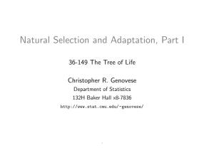 Natural Selection and Adaptation, Part I