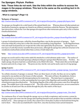 The Sponges: Phylum Porifera Note: These Links Do Not Work