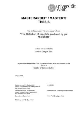 Masterarbeit / Master's Thesis