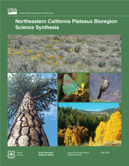 Northeastern California Plateaus Bioregion Science Synthesis