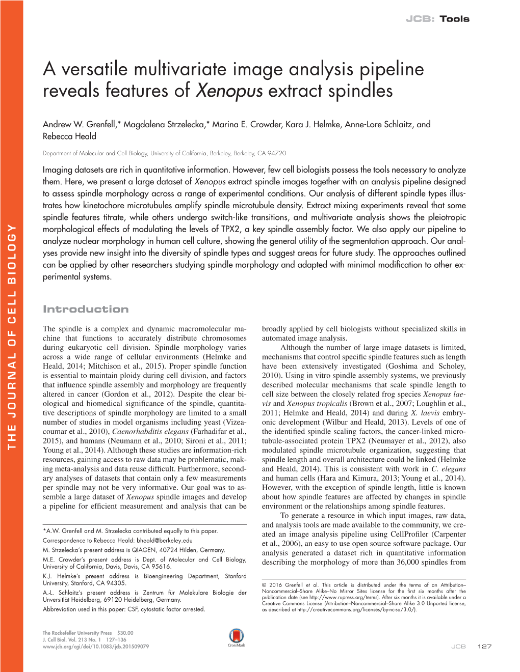 A Versatile Multivariate Image Analysis Pipeline Reveals Features of Xenopus Extract Spindles