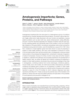 Amelogenesis Imperfecta; Genes, Proteins, and Pathways