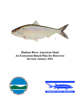 Hudson River American Shad Recovery Plan