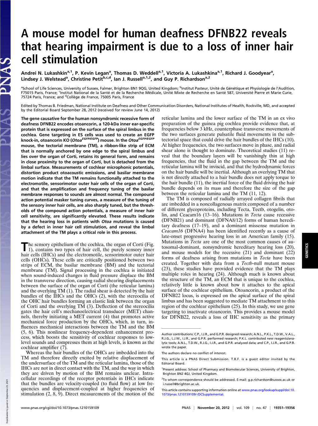 A Mouse Model for Human Deafness DFNB22 Reveals That Hearing Impairment Is Due to a Loss of Inner Hair Cell Stimulation