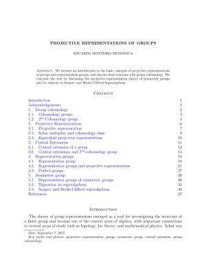 Projective Representations of Groups