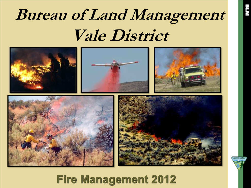 Vale BLM Fire Program