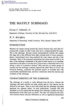 The Mayfly Subimago