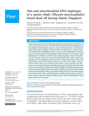 Diet and Mitochondrial DNA Haplotype of a Sperm Whale (Physeter Macrocephalus) Found Dead Off Jurong Island, Singapore